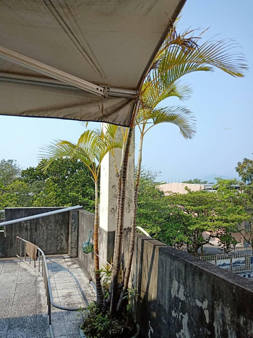 Formosa Backpackers Hostel & Apartment（青年民宿） Hualien Extérieur photo