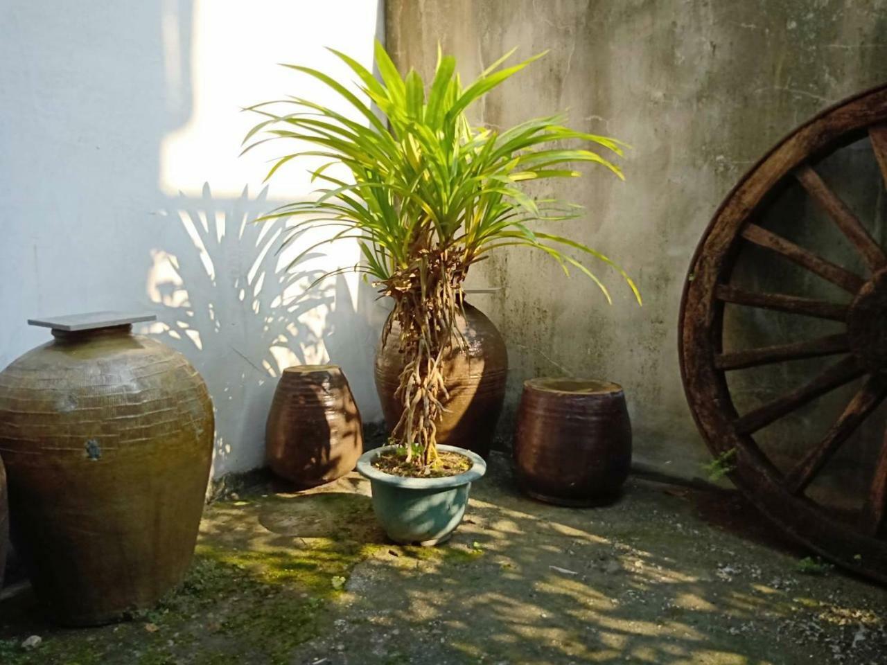 Formosa Backpackers Hostel & Apartment（青年民宿） Hualien Extérieur photo
